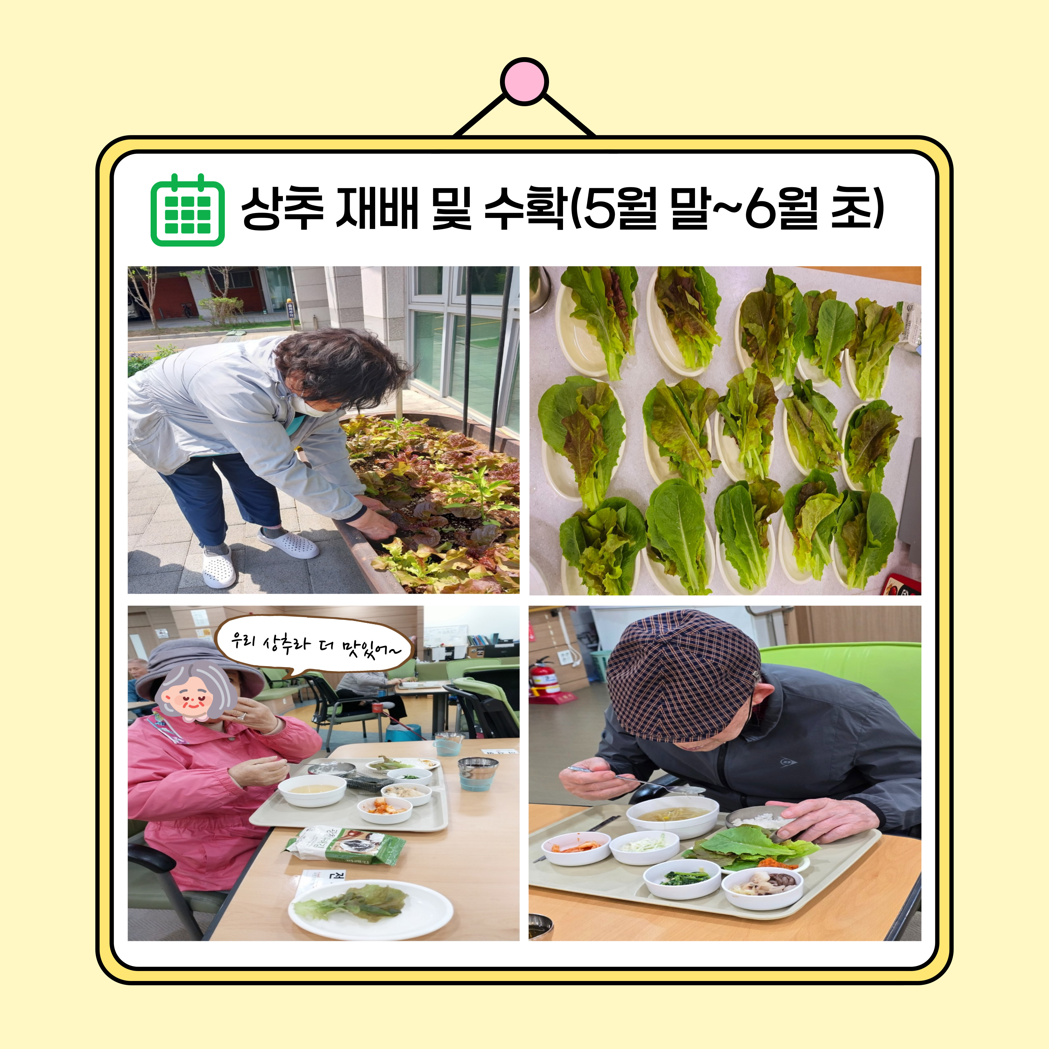 농작물 재배 4.jpg 이미지입니다.