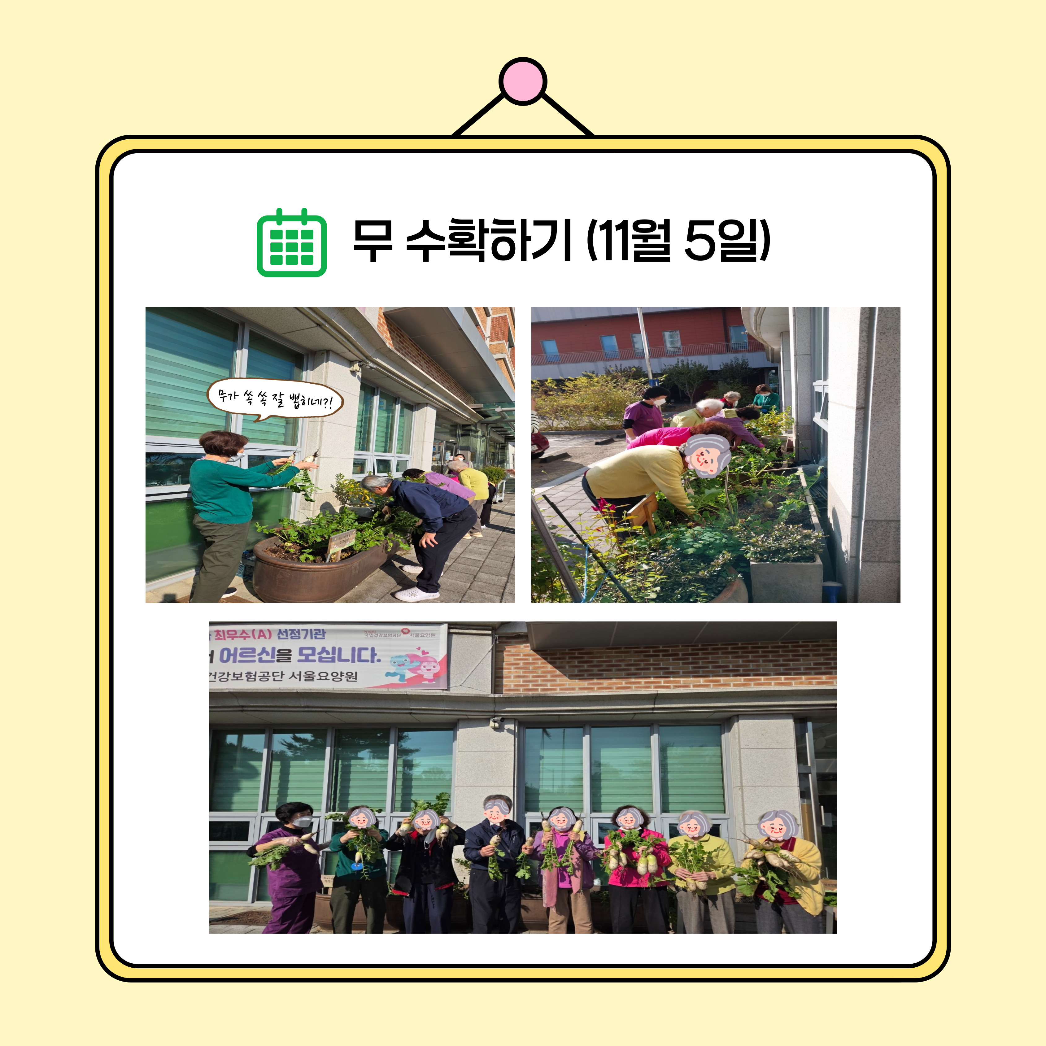 무 수확 후 김장 2.jpg 이미지입니다.