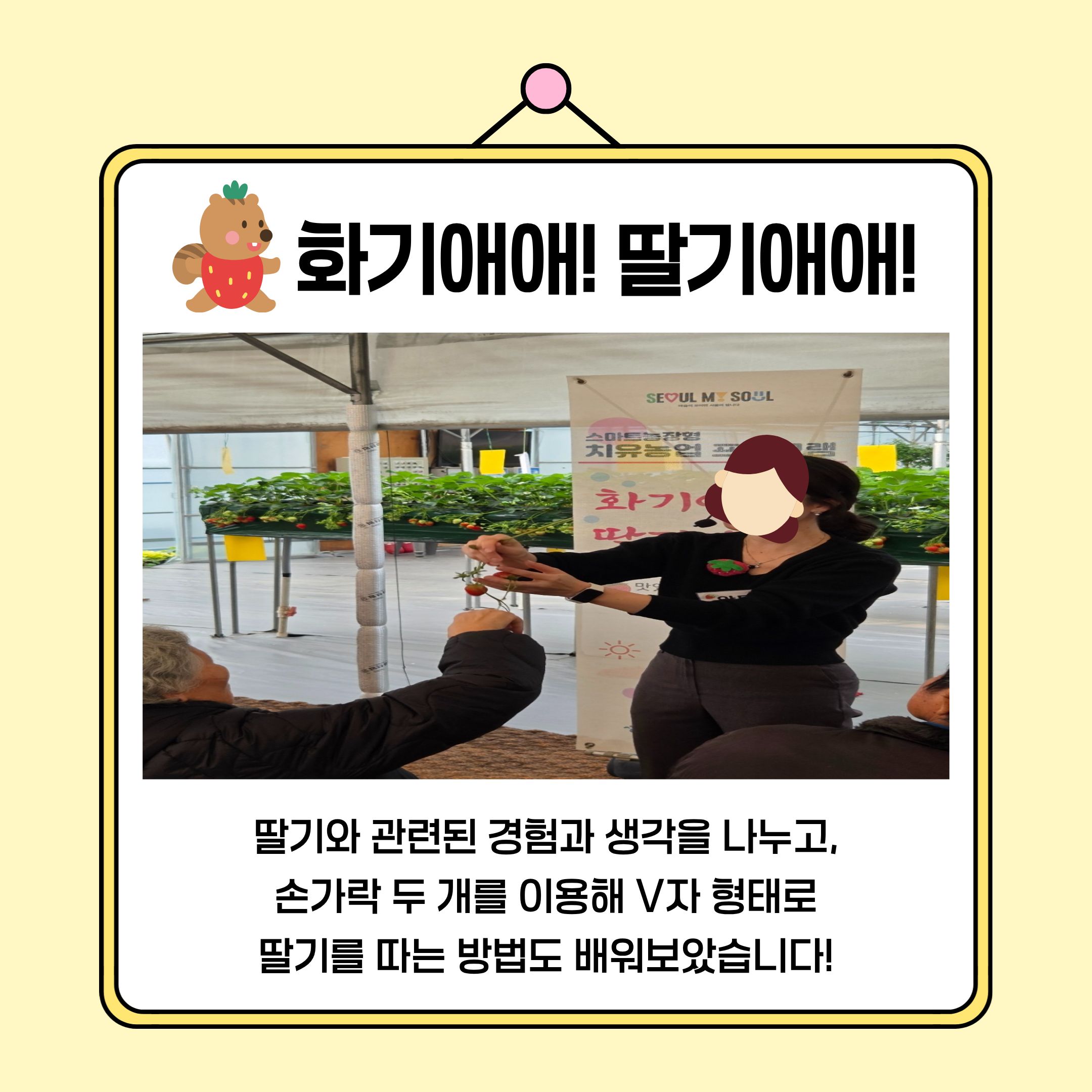 딸기체험 3.jpg 이미지입니다.