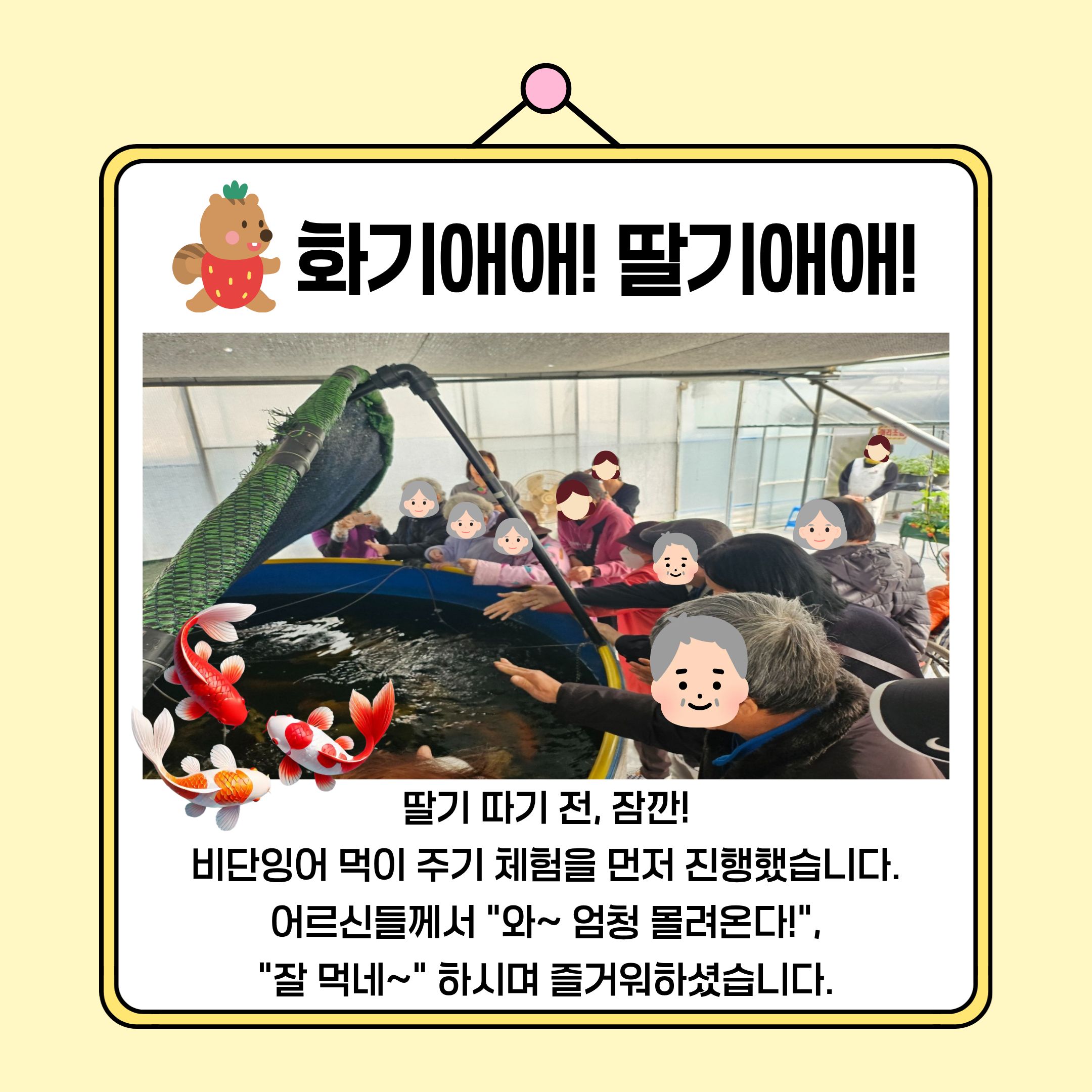 딸기체험 4.jpg 이미지입니다.